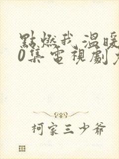 点燃我温暖你40集电视剧免费看全集封面