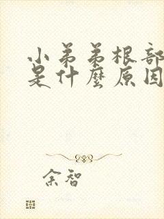 小弟弟根部发痒是什么原因