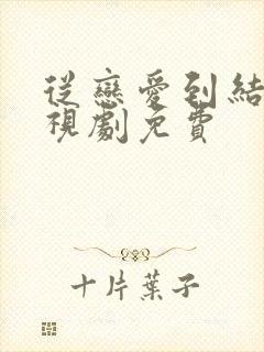 从恋爱到结婚电视剧免费