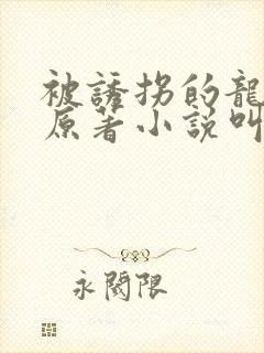被诱拐的龙小说原著小说叫什么名字封面