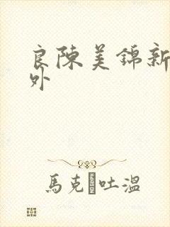 良陈美锦新增番外