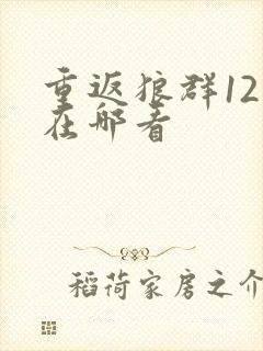 重返狼群12集在哪看