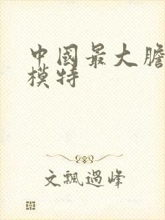 中国最大胆人体模特