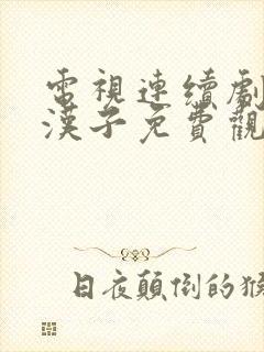 电视连续剧边城汉子免费观看