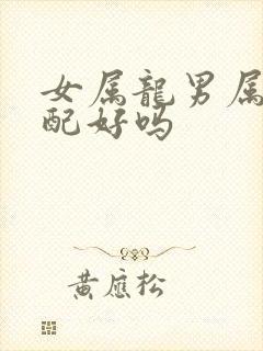 女属龙男属马婚配好吗