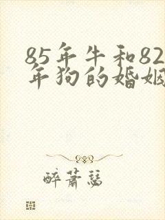 85年牛和82年狗的婚姻怎么样封面