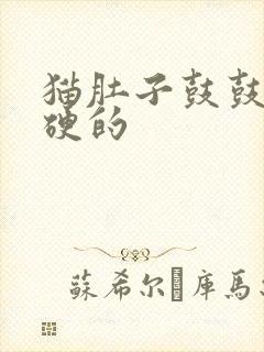 猫肚子鼓鼓的硬硬的