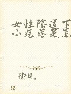 女性阴道下面长小疙瘩是怎么回事?