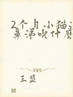 2个月小猫流黄鼻涕吃什么药