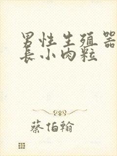 男性生殖器根部长小肉粒