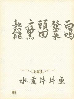 熬夜头发白了还能黑回来吗