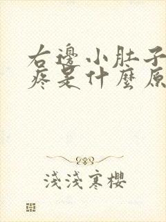 右边小肚子按压疼是什么原因女性