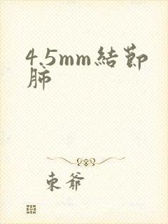 4.5mm结节肺封面