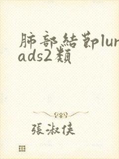 肺部结节lurads2类