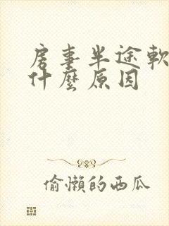 房事半途软了有什么原因封面