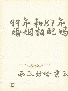 99年和87年婚姻相配吗封面