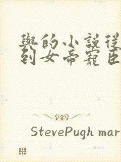 与的小说从赘婿到女帝宠臣