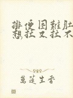 排便困难肚子胀想拉又拉不出封面