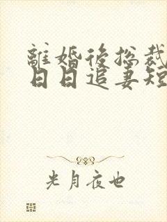 离婚后总裁前夫日日追妻短剧