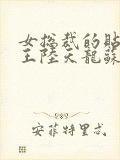 女总裁的贴身兵王陆天龙苏凌月