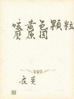 咳黄色颗粒痰什么原因