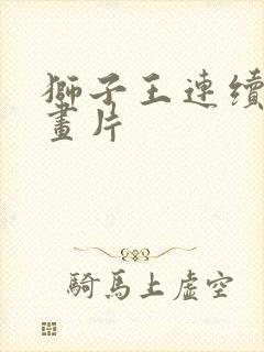 狮子王连续剧动画片