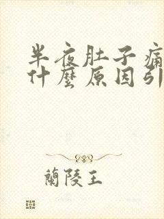 半夜肚子痛想吐什么原因引起的