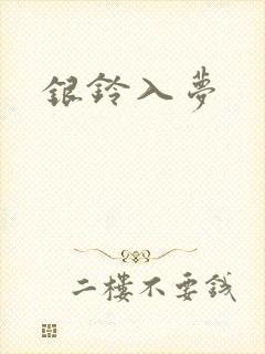 银铃入梦封面