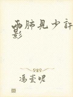 两肺见少许条索影