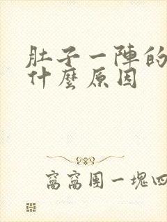 肚子一阵的痛是什么原因