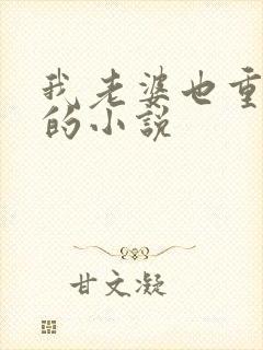 我老婆也重生了的小说