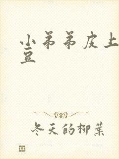 小弟弟皮上长豆豆