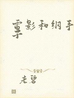 雷影和纲手的本子封面