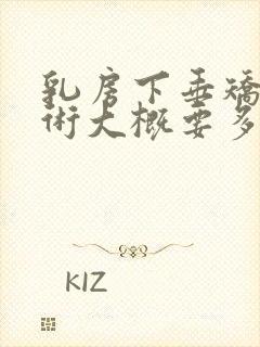 乳房下垂矫正手术大概要多少钱封面