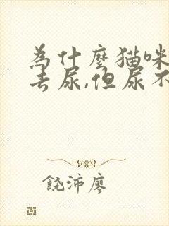 为什么猫咪老是去尿,但尿不出来