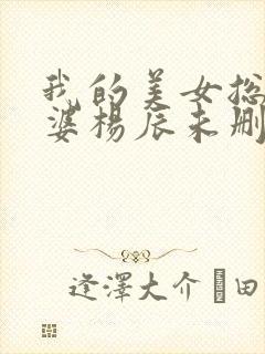 我的美女总裁老婆杨辰未删减版