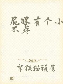 屁眼有个小肉球不疼