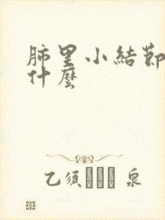 肺里小结节影是什么