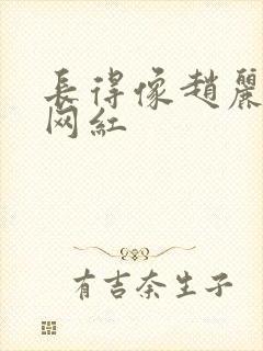 长得像赵丽颖的网红