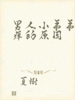 男人小弟弟头瘙痒的原因