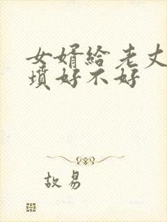 女婿给老丈人上坟好不好封面