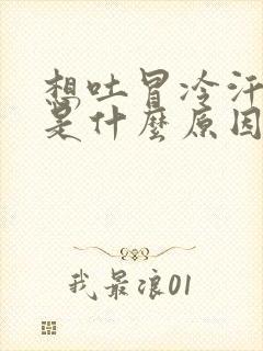 想吐冒冷汗头晕是什么原因