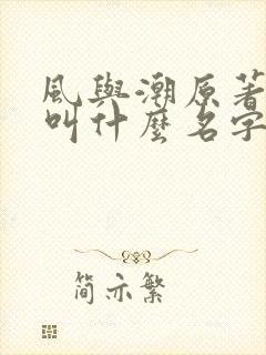 风与潮原著小说叫什么名字
