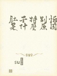 肚子特别怕着凉是什么原因封面