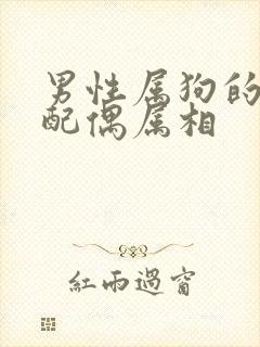 男性属狗的最佳配偶属相