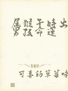 属猴午时出生的男孩命运