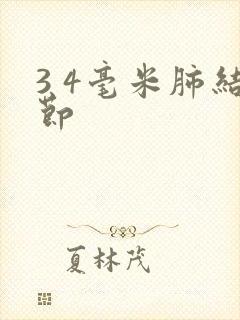 3 4毫米肺结节封面