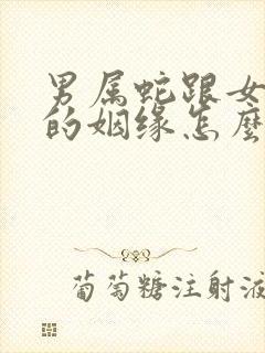 男属蛇跟女属猴的姻缘怎么样