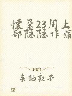 怀孕23周上腹部隐隐作痛封面