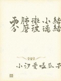 两肺微小结节部分磨玻璃结节